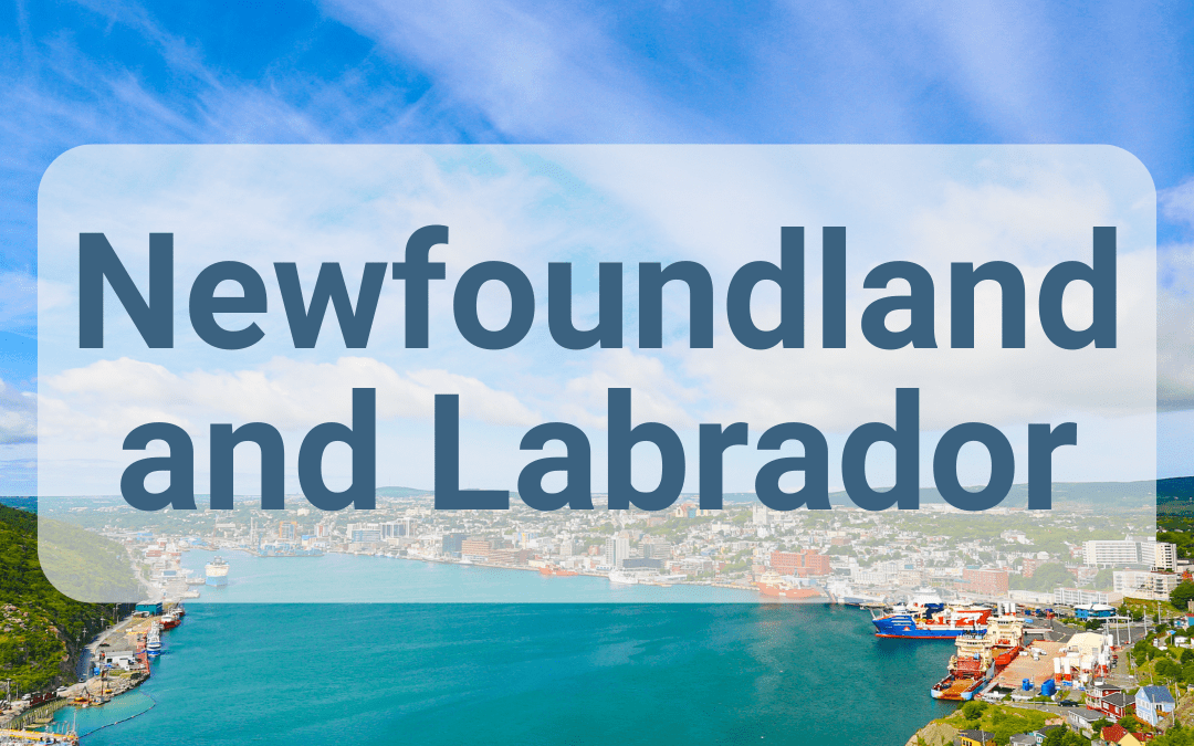 Newfoundland and Labrador Disability Programs, Benefits, and Credits