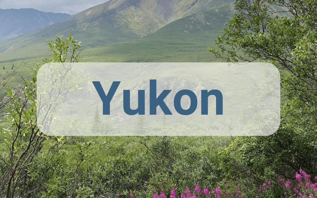 Yukon Disability Programs, Benefits, and Credits